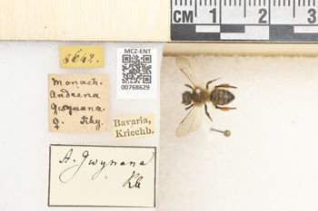 Media type: image;   Entomology 768629 Aspect: Labels